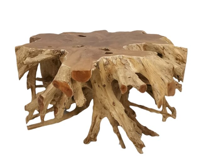 Plain Small Live Edge Root Coffee Table