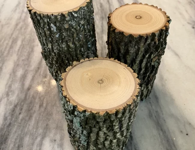 Spruce Tree Stump Stool