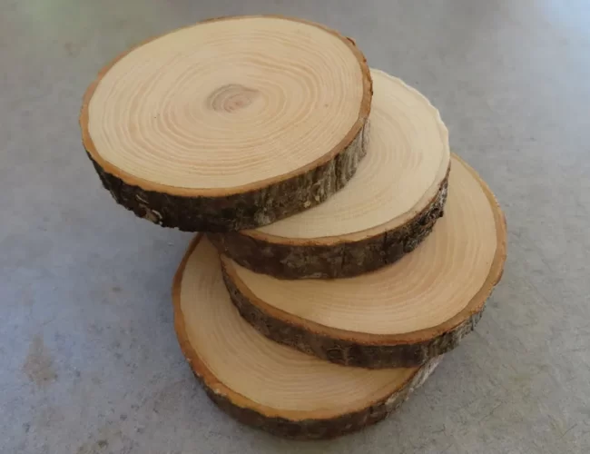 Pack of 4 Round Rustic Log Branch Slices